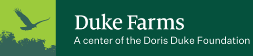df_center_of_the_ddf